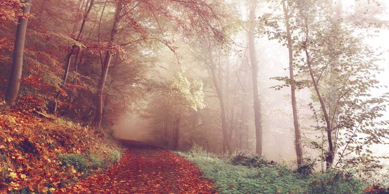 长春别墅地下室侧墙防水防潮系统设计：排水板与防水涂料的黄金组合应用