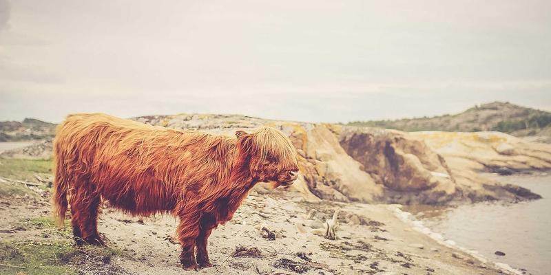 长春变形缝防水设计与施工难点解析：如何应对建筑结构位移导致的渗漏