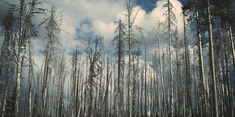 长春游泳池防水工程标准：柔性防水材料如何应对结构变形与长期水压挑战