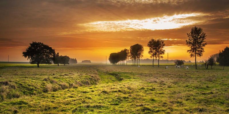 长春老旧小区屋面防水改造全攻略：告别渗漏，守护家园