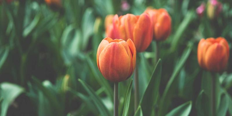 长春防水公司哪家好？2024年专业施工与口碑排行榜深度解析